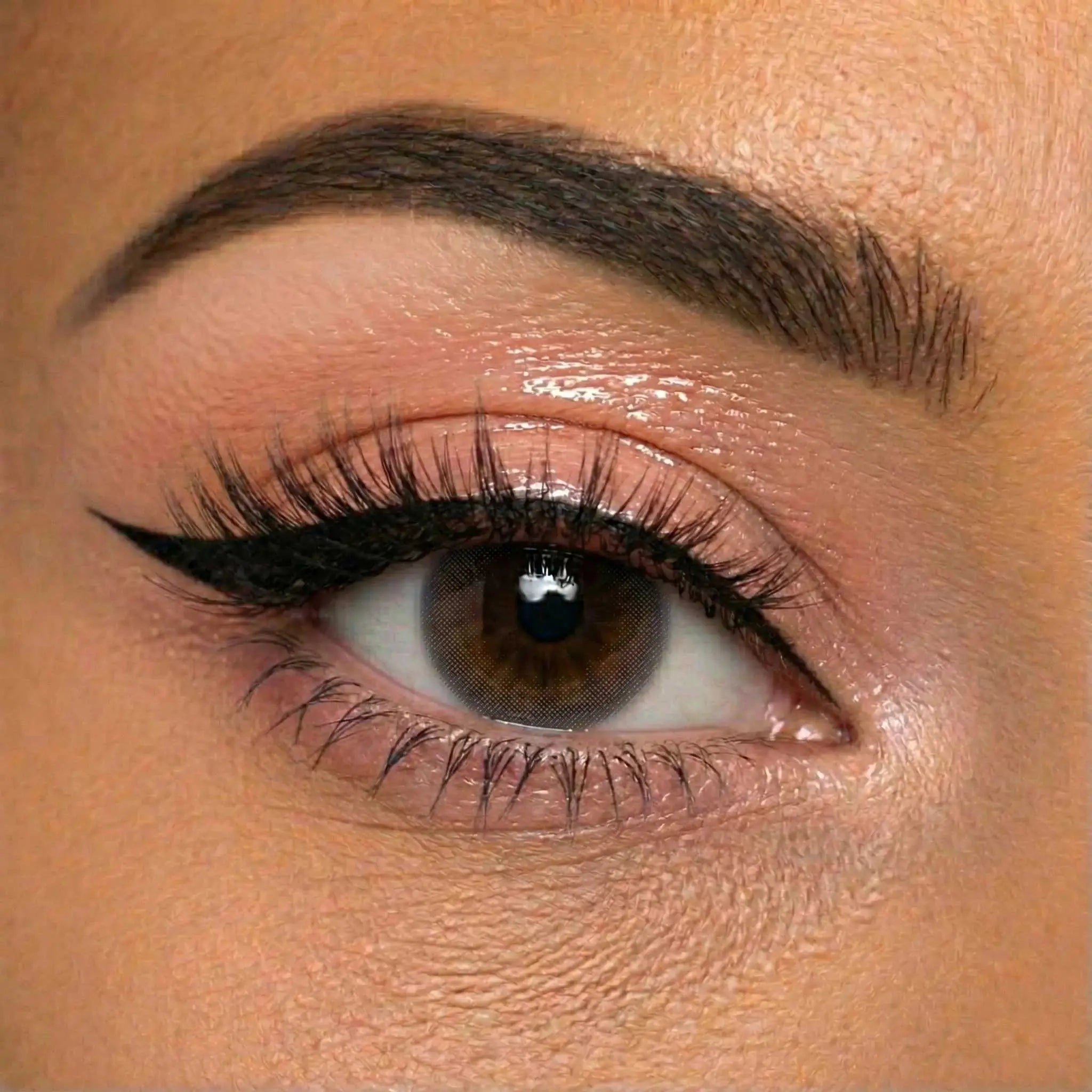 Flora - Graphite - Contact Lenses - Online Shopping store in Pakistan